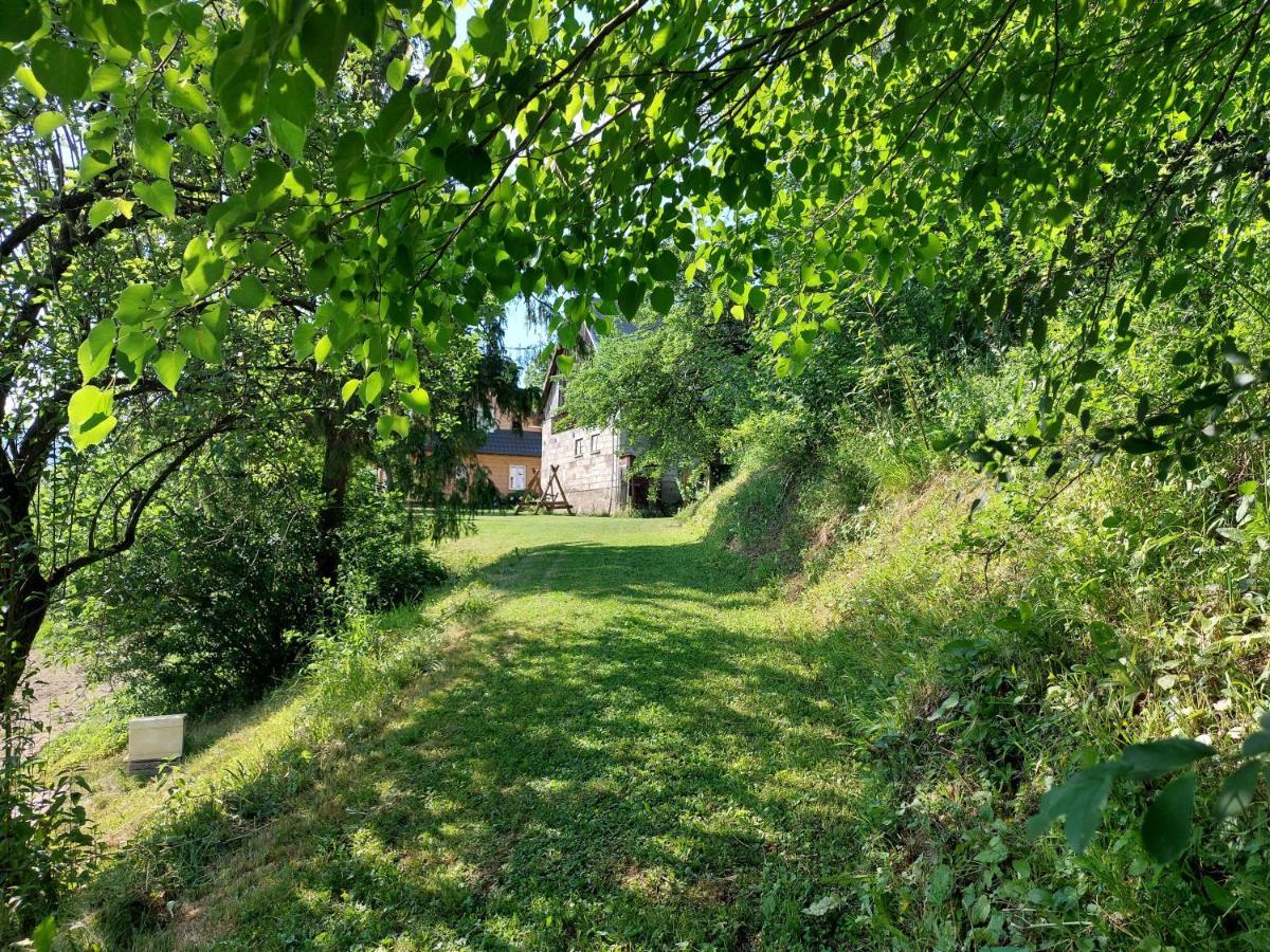Bieszczady Beztroska *