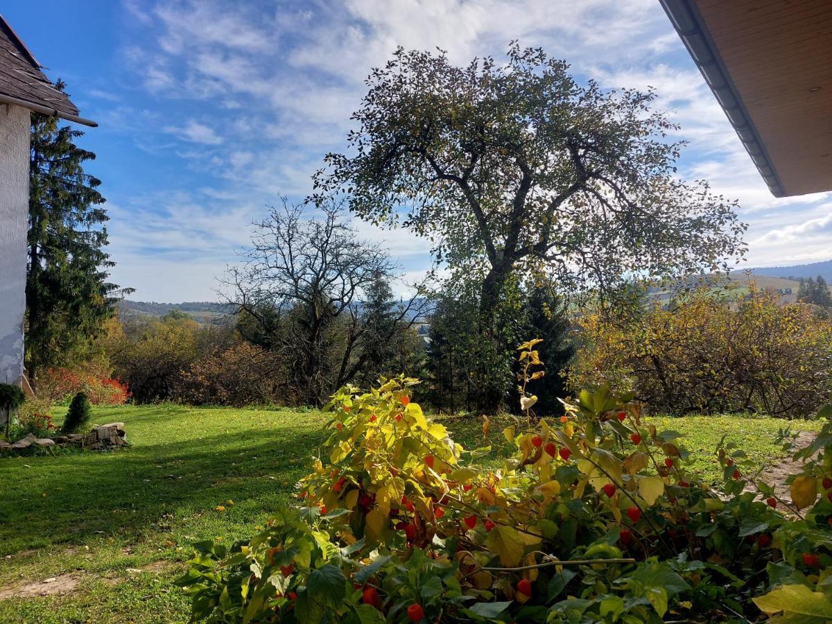 Bieszczady Beztroska *