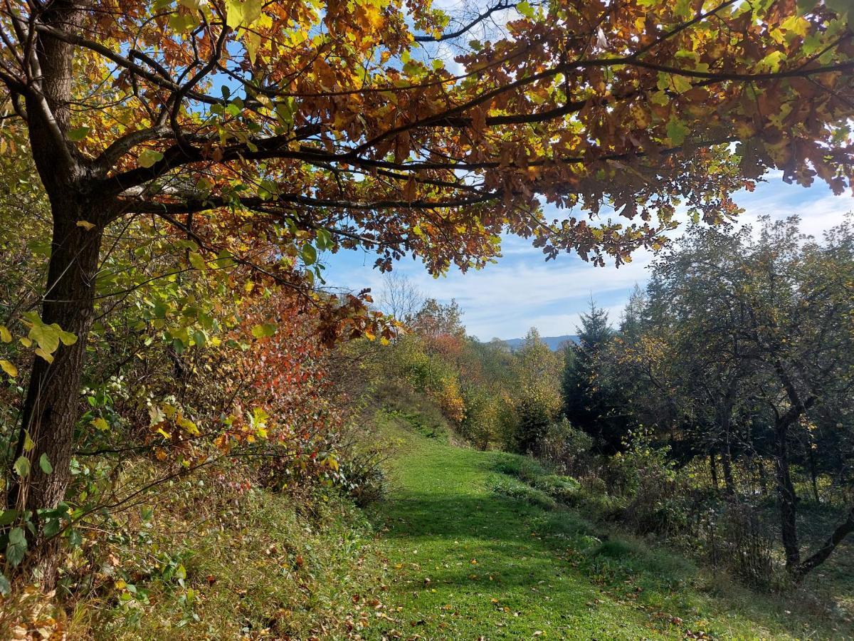 Bieszczady Beztroska Mchawa