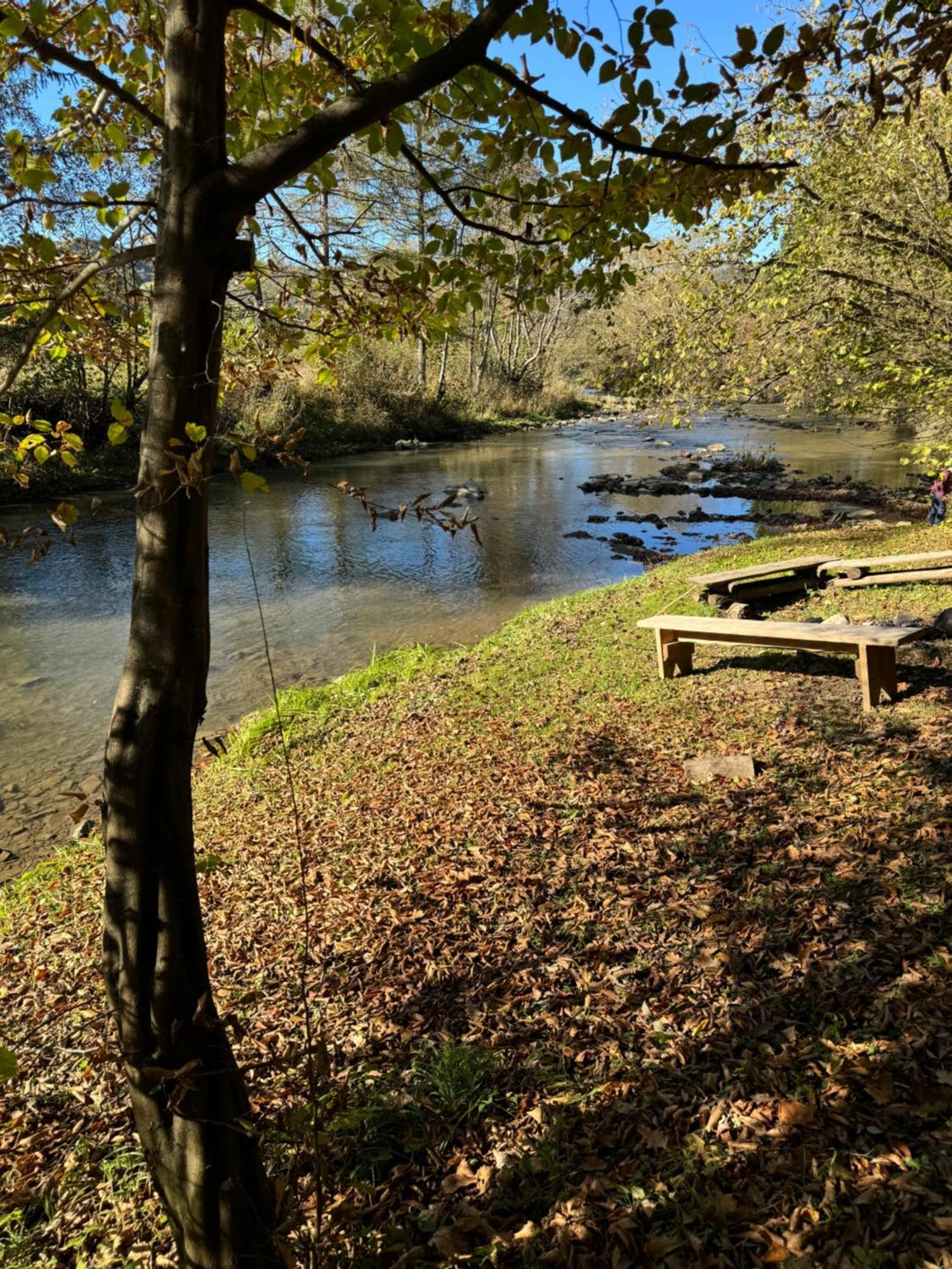Bieszczady Beztroska Holiday home *
