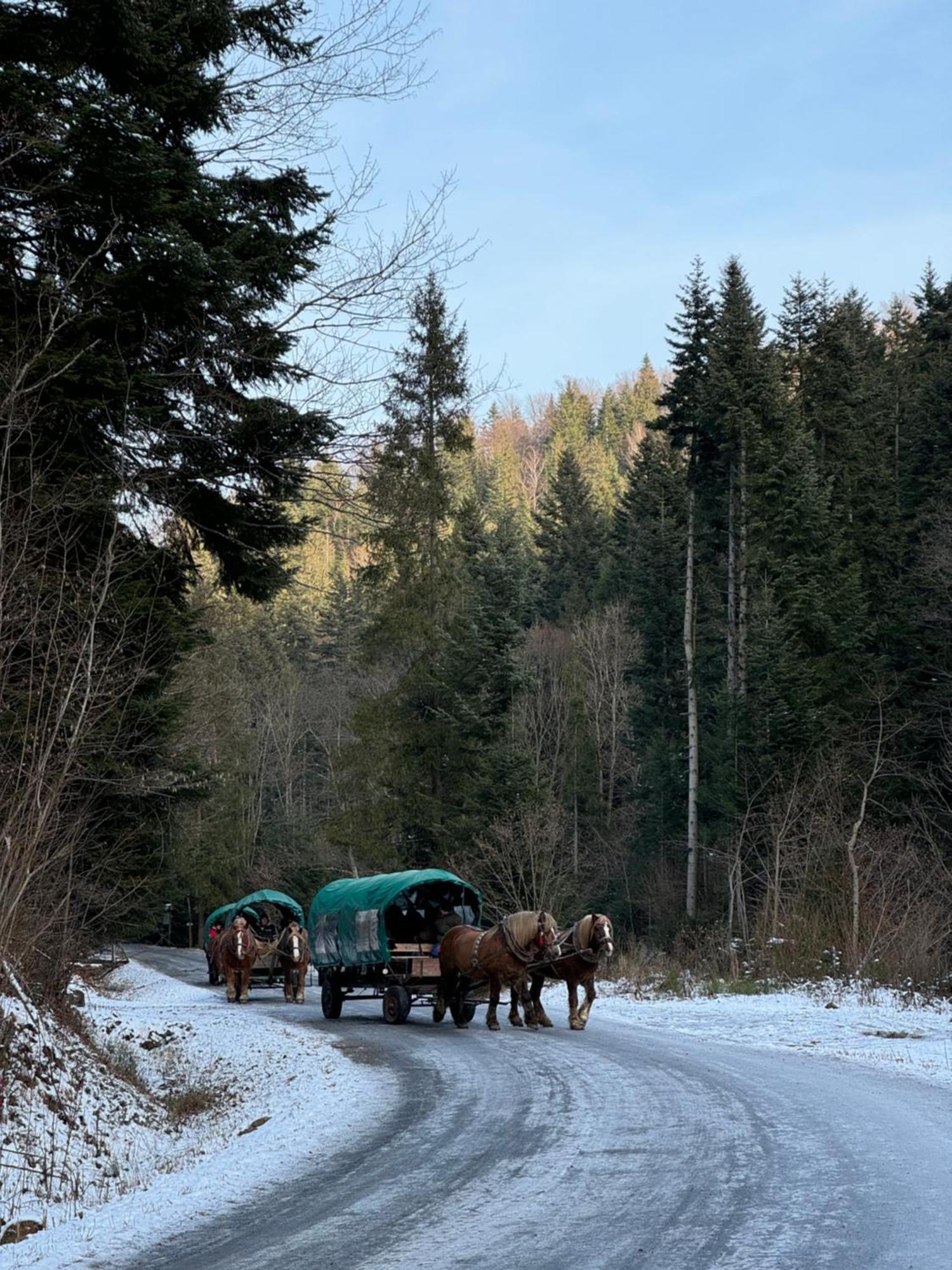 Bieszczady Beztroska