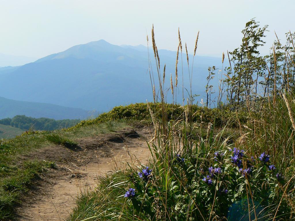 Bieszczady Beztroska Holiday home *
