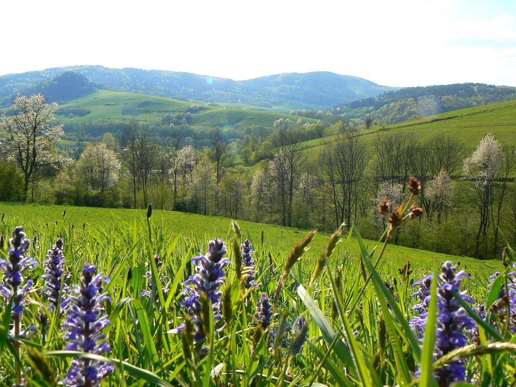 Bieszczady Beztroska Holiday home *