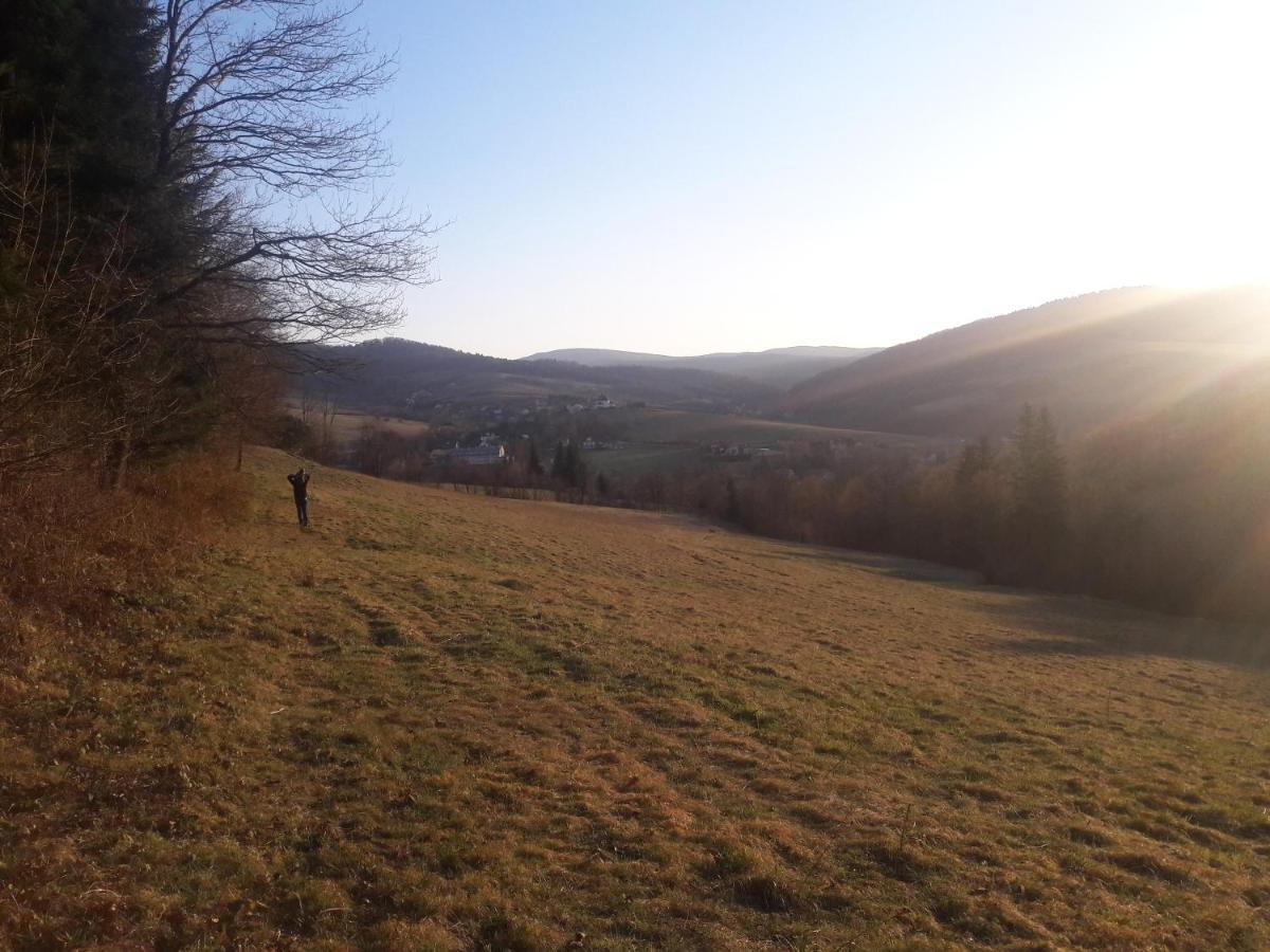 Holiday home Bieszczady Beztroska *